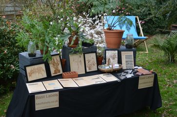 Botanical Frames on the Stand