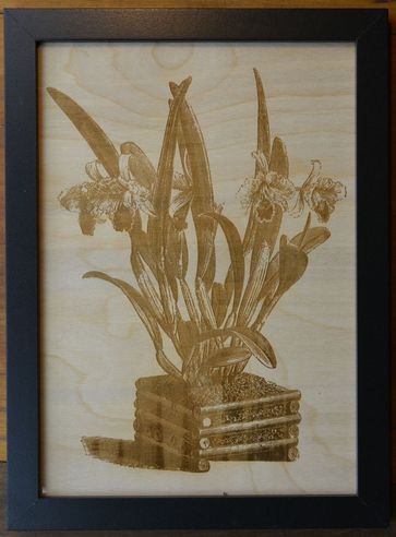 newsflash1-P3-1 Framed Botanical Prints on Wood